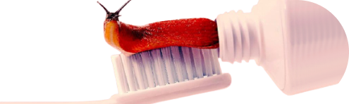 img-brand