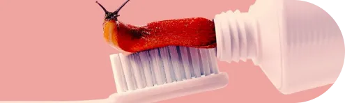 img-brand